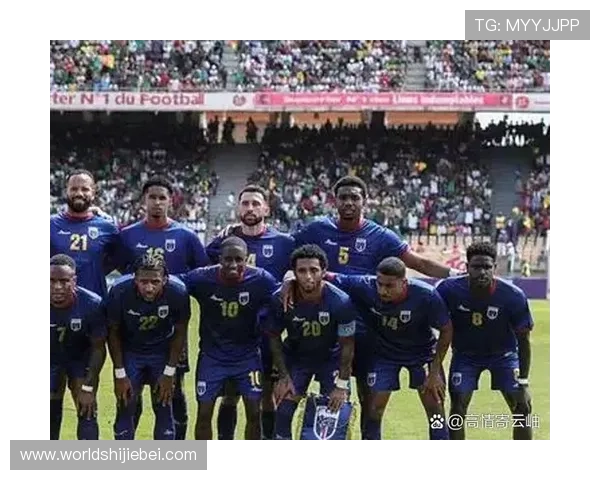 2026年世界杯亚洲外围赛参赛队伍分析及晋级路径指南助你掌握最新动态 2026年世界杯亚洲外围赛参赛队伍分析及晋级路径指南助你掌握最新动态